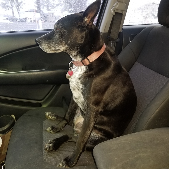 One woman's hoard... - Picture 2 of 3